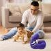 Alphabet Lore Plushies - Educational Baby Toy for Boys and Girls - Buy Online on GoSupps.com