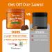 Zesty Paws Stay Green Bites for Dogs - Beef Flavor Digestive Chews, 90 Soft Chews - Buy Online on GoSupps.com