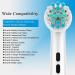 Professional Oral B Braun Compatible Toothbrush Heads - Medium Soft Dupont Bristles | Precision Clean Brush Refills - Buy Online on GoSupps.com
