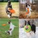 Laroo Dog Frisbee - 24.5cm Soft Bite-Proof Flying Disc Toy for Large Dogs | Outdoor Training & Fun - Buy Online on GoSupps.com