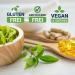 Buy Life Extension 5-LOX Inhibitor with Apr s Flex & Frankincense Extract - 20% AKBA High Dose 60 Vegan Capsules - Gluten-Free & Non-GMO - Buy Online on GoSupps.com