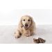 Dragonfly Products. 10 x 15cm Thick Bulls Pizzle Bully Sticks for Dogs & Puppies - Healthy Natural Dog Thick Treats Chews Beef 10 count (Pack of 1) - Buy Online on GoSupps.com