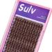 Sulv Lash Cluster S001# Dark Brown Color Lashes 144pcs Clusters D Curl 8mm 10mm 12mm 14mm 16mm 18mm 20mm to Choose Lashes Extensiond Kit Lashes Wispy Lashes Extensions (S001 Dark Brown-12mm)