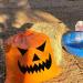 8-Piece Pumpkin Leaf Bags Halloween Collection for Easy Leaf Disposal - Buy Online on GoSupps.com