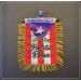 Puerto Rico Car Flag Decals - Quality Mini Window Banners for Boricua PR Accessory - Buy Online on GoSupps.com