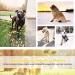 Faankiton Waterproof Dog Shoes - 4 Pieces for Medium & Large Dogs | Non-Slip Sole & Reflective Straps | Paw Protection - Buy Online on GoSupps.com