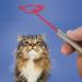 murr Light Pen for Cats | Interactive Red Pointer Toy | Chase Toy for All Cat Breeds - Buy Online on GoSupps.com