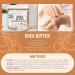 Pure Unrefined Shea Butter for Skin Hair & Face - 100% Raw African Shea Moisturizer for Stretch Marks & Acne - 0.5 lb - Buy Online on GoSupps.com