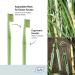 TEPE Good Soft-Bristle Toothbrush for Adults and Teens - Pack of 1 - Compact - Buy Online on GoSupps.com