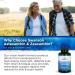 Astaxanthin and Zeaxanthin - Premium 60 Softgels for Eye Health & Antioxidant Support | International Shipping Available - Buy Online on GoSupps.com