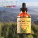 Fir Needle Essential Oil (4 oz) Premium Therapeutic Grade 100% Pure and Natural Perfect for Aromatherapy and Much More by Mary Tylor Naturals Amber - Buy Online on GoSupps.com