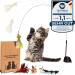 Kasparino cat deficiency stable - cat toy fishing with springs bird & suction cup - self -employment - durable cats including catnip - interactive set version 2.0