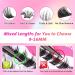 D Curl Cluster Lashes Kit with Lash Bond & Seal Glue - 9-16MM Individual Eyelash Extension Kit - Buy Online on GoSupps.com