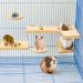 Shop Wangdu 5-Piece Hamster Accessories Set - Natural Wood Toys for Hamsters Guinea Pigs & Mice | DIY Cage Decor & Bird Seating Platform - Buy Online on GoSupps.com