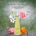 Women's Delilah&Easy Miami Perfume Set Romantic Floral Scent Eau De Parfum Spray for Women 3.4 Fl Oz Each Bottle Daily Used Fragrance - Buy Online on GoSupps.com