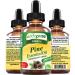 myVidaPure Pine Essential Oil 100% Pure Natural Undiluted Therapeutic Grade Essential Oil 2 Fl.oz.- 60 ml for Aromatherapy Soaps Candles Diffuser & Reed Diffusers
