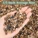 2.5lb Mixed Color Decorative Rocks for Plants - Natural Pea Gravel for Succulents, Vases, Fish Tanks - Matte Texture, 1/5 Inch - Buy Online on GoSupps.com
