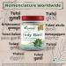 Holy Basil (Tulsi) Powder - Organic Herbal Supplement for Stress Relief and Immune Support - Buy Online on GoSupps.com