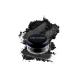 Lord & Berry Loose Eye Shadow Makeup Collection for Neutral  Nude  Brown  Green and Blue Eyes | Eyeshadow Palette Range from Matte  Shimmer  Natural  Small and Big  Dark Black Matte
