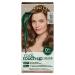 Clairol Root Touch-Up by Natural Instincts Permanent Hair Dye  6.5 Bronde Hair Color  Pack of 1 6.5 Bronde 2.72 Ounce (Pack of 1)