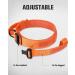Joytale Tactical Dog Collar for Large Dogs | Durable Orange Dog Collar with Handle & QR Code Tag | Shop Now! - Buy Online on GoSupps.com