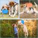 Fantesi 2-Piece Dog Flying Disc - 18.5 cm Rubber Saucer Toy for Training & Play - Soft & Stable - Buy Online on GoSupps.com
