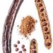 Carob Powder 250g by Virgolden - Perfect for Baking Smoothies and Prefect for Protein Energy Bars - Buy Online on GoSupps.com