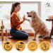 4 PET PAWS - Dog Paw Balm - Natural Moisturizing Paw Protector Made in Canada - Heals Repairs & Soothes Dry Cracked Paws Suitable for All Dogs & Cats - Buy Online on GoSupps.com