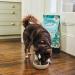 Lily's Kitchen Complete Dry Food for Adult Dogs Salmon Feast 7kg - Buy Online on GoSupps.com