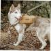 OneTigris CAMELUS Dog Backpack - Tear-Proof Camping & Hiking Pack for M/L Size Dogs in Coyote Brown - Buy Online on GoSupps.com