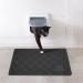 Niubya Premium Cat Litter Mat - Non-slip Waterproof Backing, Soft on Paws, Easy to Clean - Small 23x14 Black - Buy Online on GoSupps.com