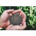 Heartland Chia  USA Grown Whole Raw Black Chia Seeds  12 oz | Sustainable  Non-GMO  Farm-direct - Buy Online on GoSupps.com