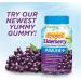 Emergen-C Elderberry Immune Gummies - 45 Count for Boosted Immunity - Buy Online on GoSupps.com