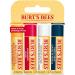 Burt's Bees 100% Natural Moisturizing Lip Balm 4-Pack Gift Set | Natural Lip Balms Bundle - Buy Online on GoSupps.com