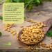 Buy Irwin Naturals Fenugreek RED - 60 Liquid Soft-Gels with Asian Ginseng & Ginkgo - Nitric Oxide Booster for Enhanced Wellness | Fast International Shipping - Buy Online on GoSupps.com