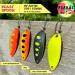 Beast Trout Spoon 3g - UL Fishing Spoon in Matt Black & Neon Yellow | Perfect for Trout Fishing - Buy Online on GoSupps.com