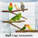 4-Piece Natural Wood Bird Stand Set - Ideal for Budgies Canaries and Nymphic - Premium Bird Accessories for Cage - Buy Online on GoSupps.com