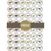 48 PRECUT Dinosaurs Edible Mini Cupcake Toppers - Premium Thickness SWEETENED VANILLA - wafer card disc cake decorations - Buy Online on GoSupps.com