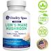 Magnesium Bisglycinate 400mg + Lion s Mane 4:1 Extract Complex Bundle Calm & Relaxation + Focus & Clarity 120 + 120 Veg Capsules, Made in USA - Buy Online on GoSupps.com