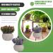 Ciieeo 2pcs Simulated Green Bonsai Artificial Succulents Plants Miniture Decoration Artificial Cactus Small Succulent Plants Silk Plants Greenery Decor Accessories Office Foam Nordic - Buy Online on GoSupps.com