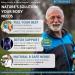 Kidney Bladder & Adrenal Cleanse Detox - Support Natural Wellness | International Shipping - Buy Online on GoSupps.com