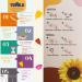 TULULU Menstrual WonderCups Variety Pack of 3 Medical Grade Silicone Discs Sustainable & Soft Menstrual Cup Alternative - Buy Online on GoSupps.com