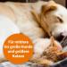 ARDAP flea comb and dust comb for dogs and cats - Effective against fleas and lice - Professional and gentle coat care - Buy Online on GoSupps.com