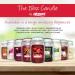 AIRPURE Large Candle Scented Apple Cinnamon Fragrance 18oz Jar 120 Hour Ornamental Candles Fill The Room with a Warm and Homey Fragrance for The Bedroom Bathroom Family Room or Office - Buy Online on GoSupps.com