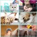 JULMELON Cat Washing Bag 10 PCS Set - Adjustable Shower Net Bag, Grooming Brush, Nail Clipper, File, Combs, Tick Tool, Nail Caps & More - Buy Online on GoSupps.com
