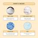 Avatara Kombucha Simple Shield Face Sunscreen | Zinc Oxide SPF Moisturizer & Teen Skincare | BHA & Hyaluronic Acid | Mineral Sunscreen 1.01 fl. oz - Buy Online on GoSupps.com