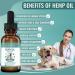 Hemp Oil for Dogs & Cats - Natural Anxiety & Stress Relief for Dogs & Cats - Hip & Joint Supplement for Dogs - Pet Hemp Calming Drops - Hemp Oil for Calming Dog & Cat Treats - 1 fl oz Made in UK - Buy Online on GoSupps.com