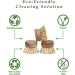 Eco-Friendly Dish Brush Replacement Heads - 5 Pieces Natural Sisal Hemp and Beech Wood Scrubbing Brushes - Buy Online on GoSupps.com
