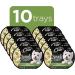 Cesar Simply Crafted Adult Wet Dog Food Chicken Carrots & Green Beans 37g Pack of 10 - Buy Online on GoSupps.com