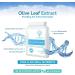 Olive Leaf Extract 6750mg 20% Oleuropein - 60 Capsules Whole Leaf Equivalent - Buy Online on GoSupps.com